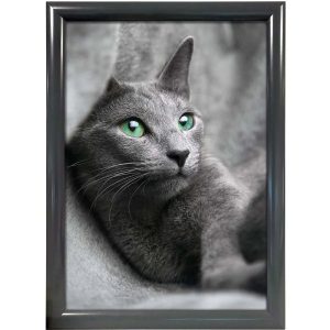 Klikramme med 25mm aluminium profil, antracit grå